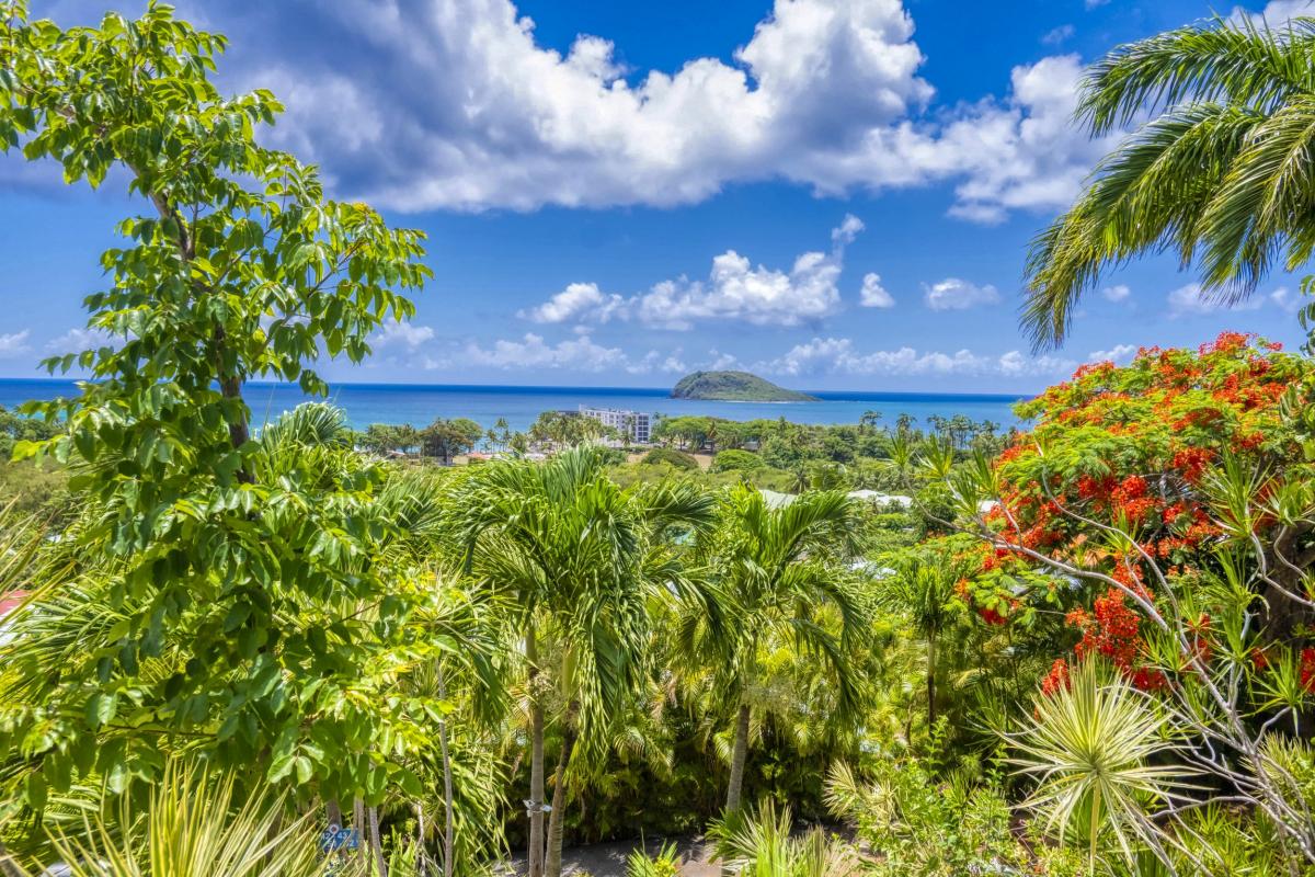 Location Résidence Vue Mer Deshaies Guadeloupe - Ensemble-30